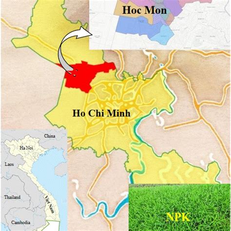 Experimental location of vegetable in Hoc mon district, Ho Chi Minh ...