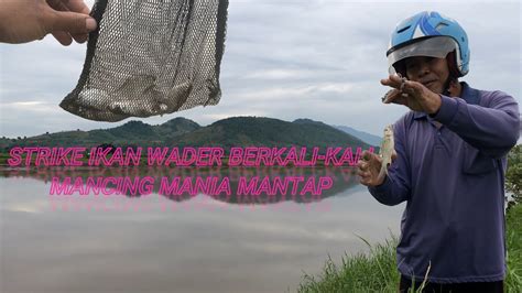 Mancing Ikan Wader Di Sungai Strike Berkali Kali Mantap Youtube