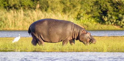 Santa L Cia Frica Do Sul Natureza E Aventura Melhores De