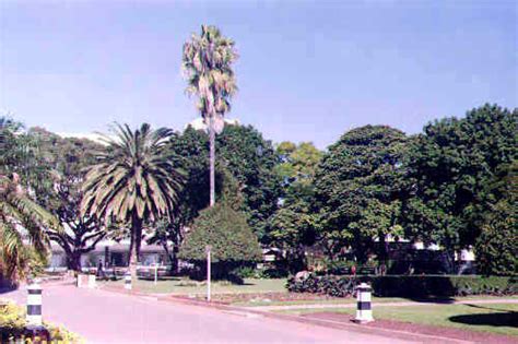 Park1