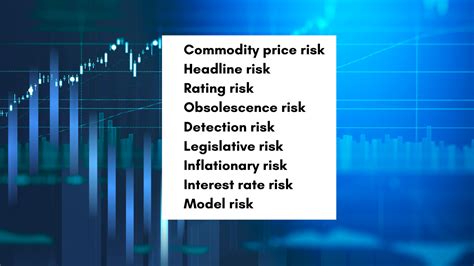 WHAT ARE THE RISKS OF INVESTING IN THE STOCKS