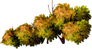 Осенние кусты ПНГ на Прозрачном Фоне • Скачать PNG Осенние кусты