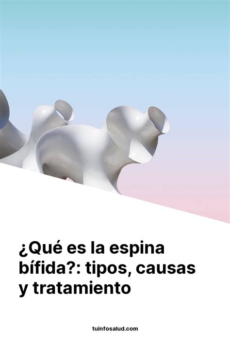 Qué es la espina bífida tipos causas y tratamiento ellabaloo