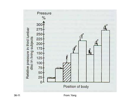 36 Slides Spine Biomechanicspdf