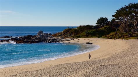 Carmel Beach Pictures: View Photos & Images of Carmel Beach