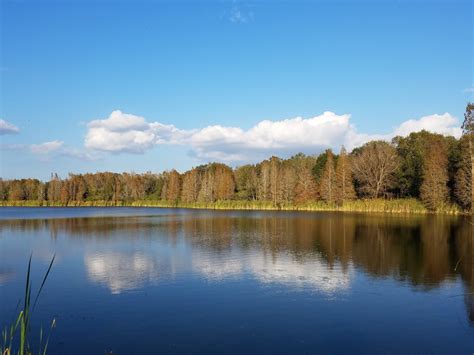 lovemycamper: Alafia River State Park