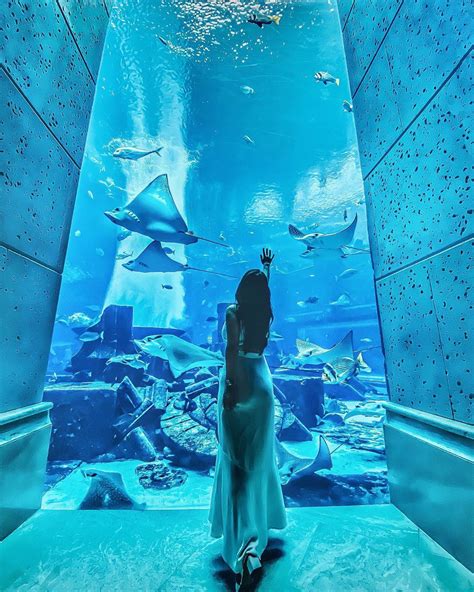 7 Surreal Underwater Hotels Near Singapore For Under-The-Sea Vacation