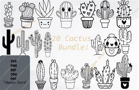 Cactus Svg Bundle Cactus Svg Graphic By Shaden Store Creative Fabrica