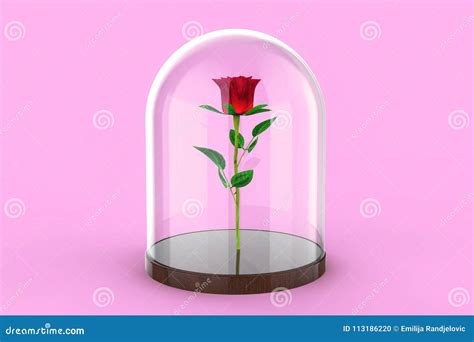 Red Rose Under Glass Dome Beauty And The Beast Concept 3d