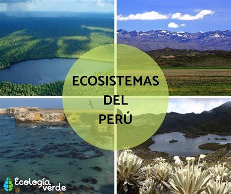 Temas Importantes Conservacion De Ecosistemas En El Peru Hot Sex Picture