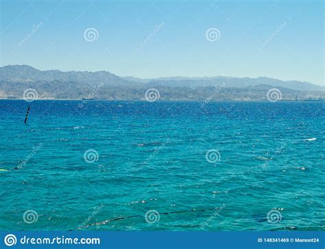 Coral Reef on the Red Sea Eilat Stock Image - Image of seascape, summer ...