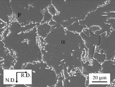 Microstructure Of The Ferrite Pearlite Steel Sheet Used In The Td Download Scientific Diagram