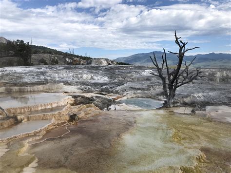 Mammoth Hot Springs Yellowstone National Park What A Geological