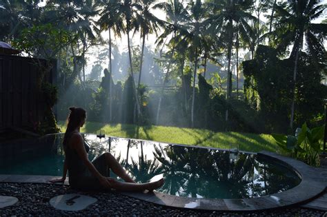 Travel Therapy: The Science of Stress free Guide