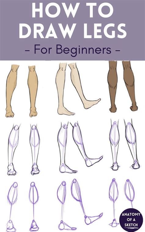 Beginner Tutorial - How to Draw Legs | Human body drawing, Drawing male anatomy, Human anatomy art