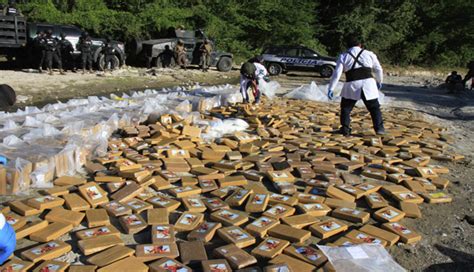 Autoridades Destruyen Kilos De Coca Na Valorada En Millones