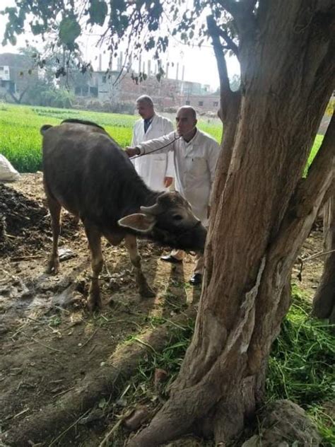 زراعة الشرقية تٌنظم ندوة إرشادية لمزارعي المهدية صور بوابة الأهرام