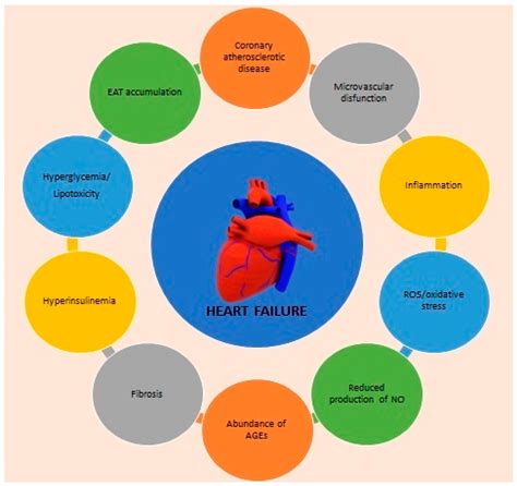 Nutrients Free Full Text Cardiometabolic Care Assessing Patients