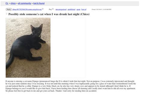 Anorak News Wtf Craigslist The 21 Weirdest Ads Of 2013