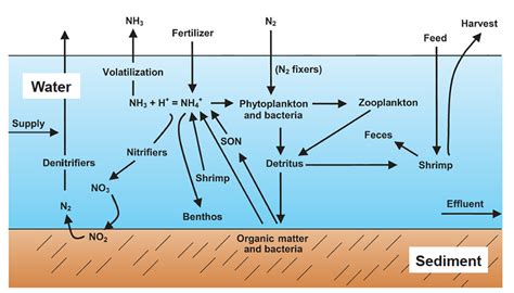 Water Quality Standards Total Ammonia Nitrogen Responsible Seafood