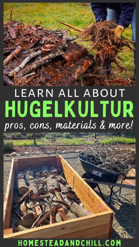 Curious About Hugelkultur Its A Great Natural Cost Effective Way To