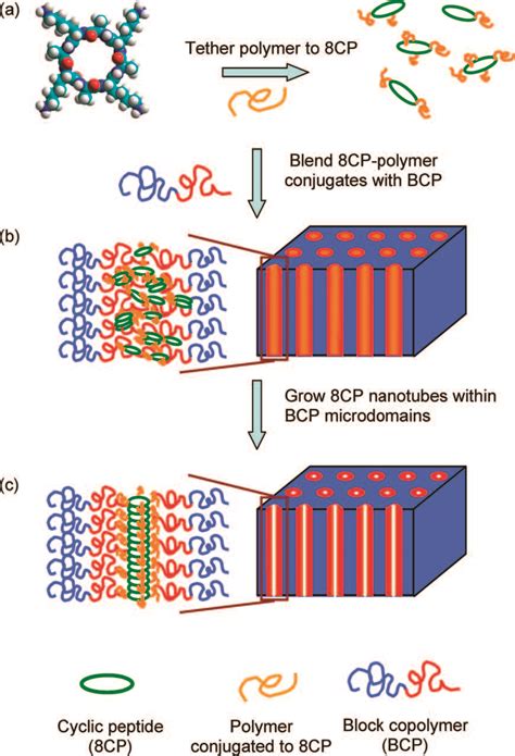 Polymer Membranes With Molecular Sized Channels That Assemble