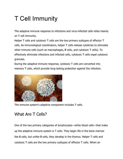 T Cell Immunit 1 T Cell Immunity The Adaptive Immune Response To