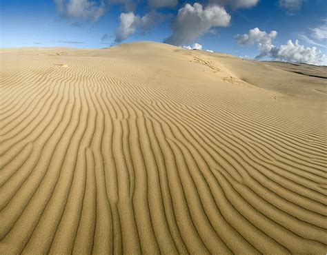 Yellow Soft Sand Dunes Dunes Asia Orange Photo Background And Picture