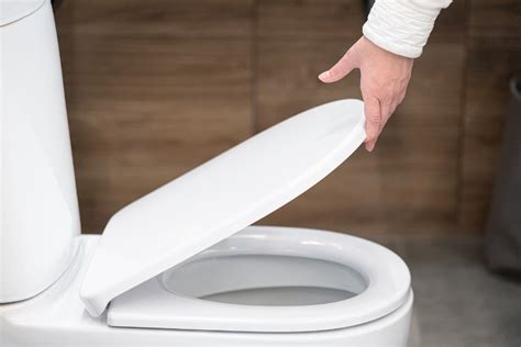 How To Install A New Toilet Seat 1 Tom Plumber