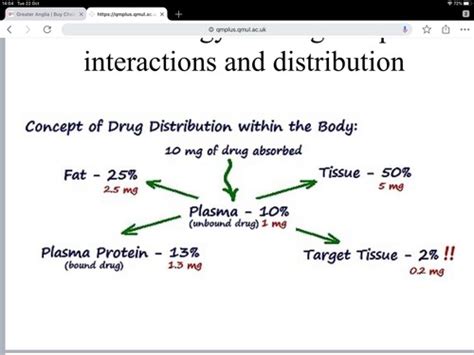 Pharmacology 2 Drug Receptor Interactions And Distribution Flashcards