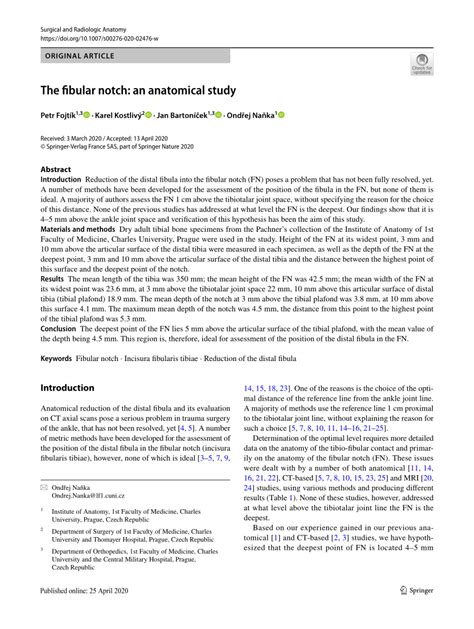 (PDF) The fibular notch: an anatomical study