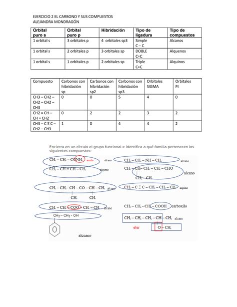 Ejercicio 2 El Carbono Y Sus Compuestos Quimica EJERCICIO 2 EL