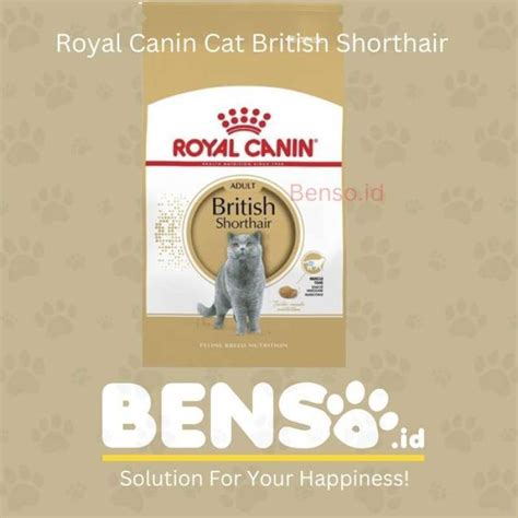 Jual Makanan Kucing Royal Canin British Shorthair Adult Kg Di