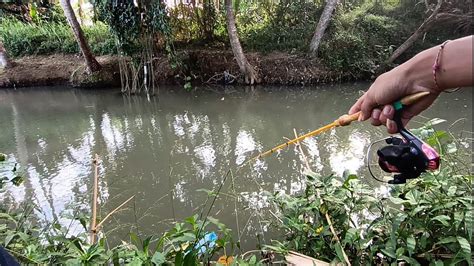 Plung Nyutt Umpan Baru Turun Langsung Di Sambar Sama Baby Wader