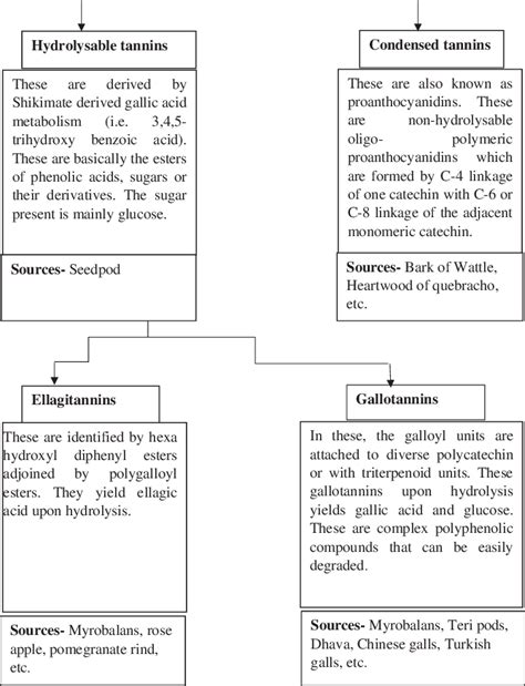 A Brief Explanation Of Different Types Of Tannins Source Ramakrishnan