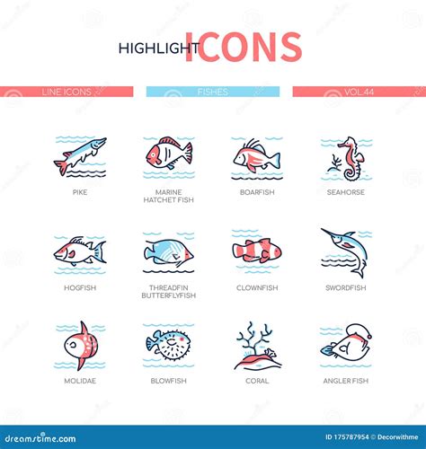 Fish Species - Modern Line Design Style Icons Set Stock Vector - Illustration of color, icon ...