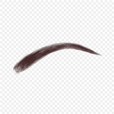 Eyebrow Clipart Hd PNG Arched Eyebrow Clip Art Arched Eyebrow