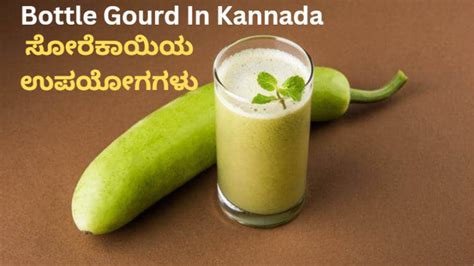 Bottle Gourd In Kannada ಸೋರೆಕಾಯಿ ಉಪಯೋಗಗಳು