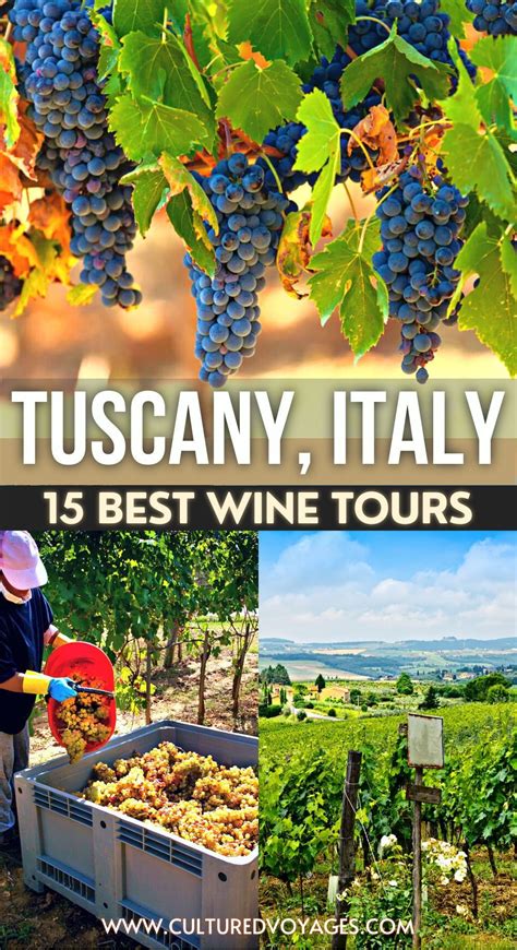 15 Best Wine Tours In Tuscany Tips For Choosing Artofit