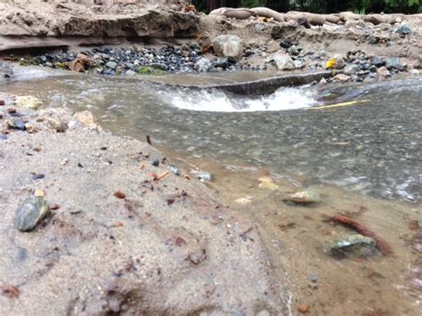 Photos and videos show extent of damage caused by flooding in North ...