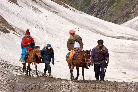 Pilgrims On Ponies On Glacier Trail Amarnath Yatra Pilgrimage Kashmir