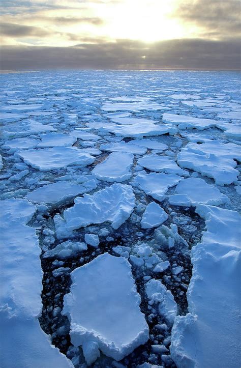 Ice Floe In The Southern Ocean, 180 by Cultura Rf/brett Phibbs