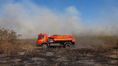 Pantanal volta a registrar focos de incêndio veja imagens