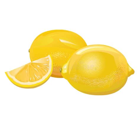 Lemon Sour Citrus Fruit Yellow Southern Fruit Isolated Object Stock