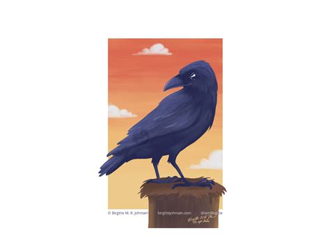 Raven By Birgitte M R Johnsen On Dribbble