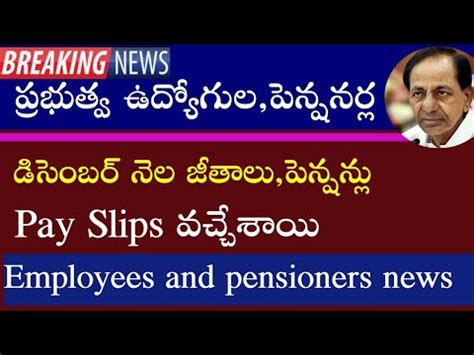 Telangana Government Employees And Pensioners December Month Salaries