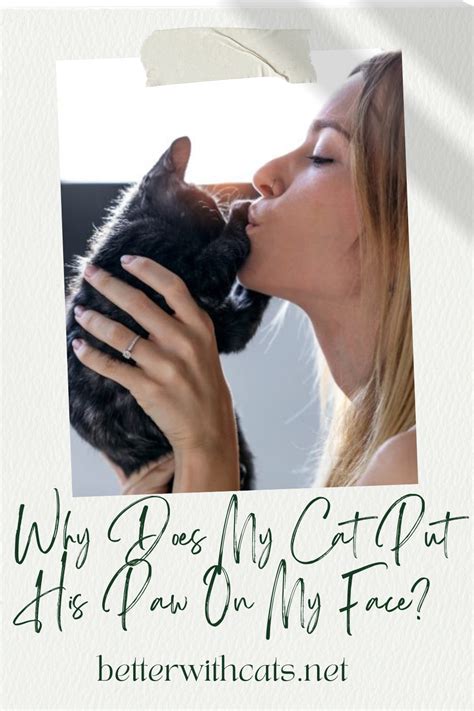 Why Does My Cat Put His Paw On My Face 8 Reasons Why Cats Cat Obsession Cat Behavior