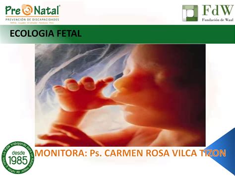 Ecologia Fetal Ppt Descarga Gratuita