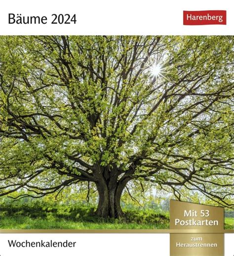 Bäume Postkartenkalender 2024 Fotokalender mit 53 Postkarten zum