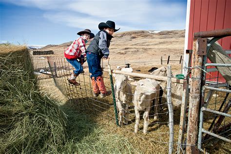 Blackfeet Reservation Supports 4 H Members Farm Flavor